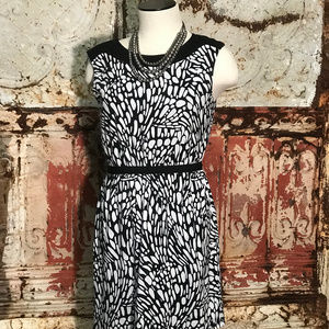 🔥4/20🔥Ann Taylor Loft Dress [912b1]